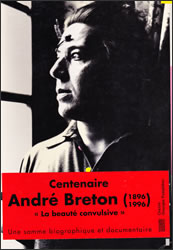 �u�A���h���E�u���g���A�z���I�Ȕ��v�W�J�^���O