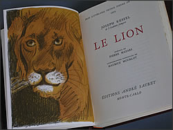 ���C�I��